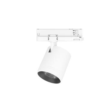 Preview: LX Foco Medium